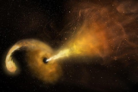 Ученые впервые зафиксировали поглощение звезды черной дырой