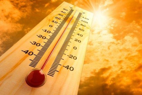 Ученые прогнозируют, что лето 2019 года станет самым жарким в истории
