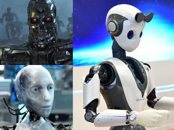 «Восстание машин?»: Компания запускает производство роботов с коллективным разумом