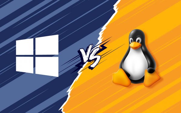Linux может стать первым? Большой объём Windows 10 может нарушить работу жёсткого диска