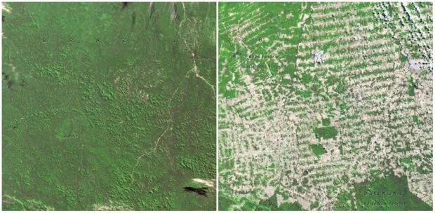 В NASA опубликовали фото того, как изменилась Земля за последние годы