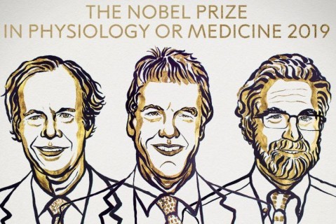 Вручена Нобелевская премия по медицине