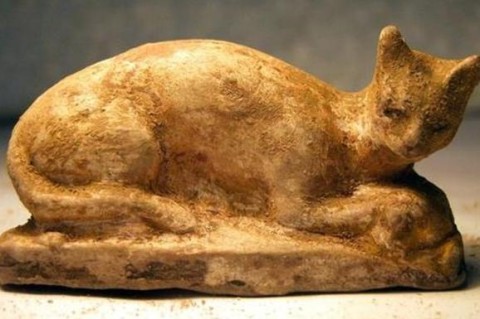 Раскрыто загадочное содержимое древней мумии кошки