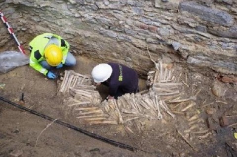 Археологи нашли стены из человеческих черепов и костей в Бельгии
