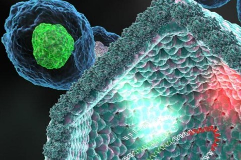 Американские ученые нашли вирусы, которые могут перестроит клетку хозяина в 
