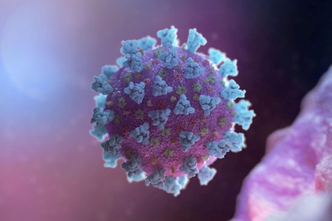 Индийские ученые нашли 10 подтипов коронавируса: один из них опознан как 