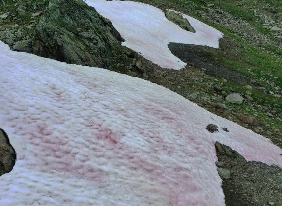 Цветные горы: итальянские Альпы окрасились в розовый цвет
