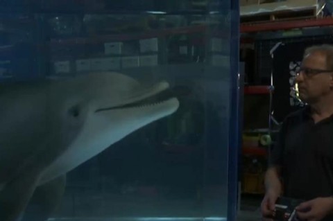 В США ученые разработали дельфина-робота