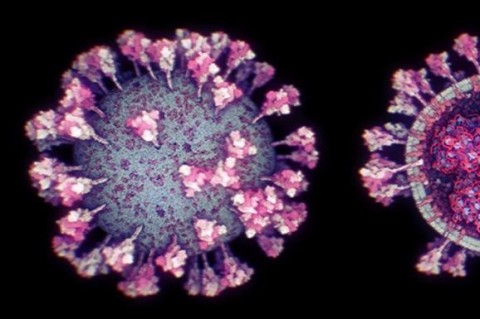 Ученые Саудовской Аравии создали самую детальную 3D-модель коронавируса в мире