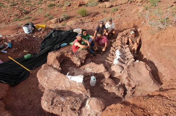 В Аргентине нашли останки крупнейшего динозавра