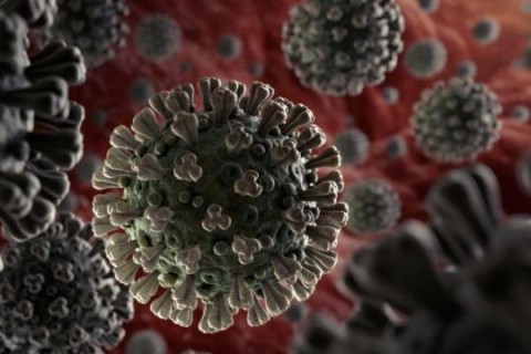 Эксперты насчитали 18 мутаций коронавируса в организме одной женщины