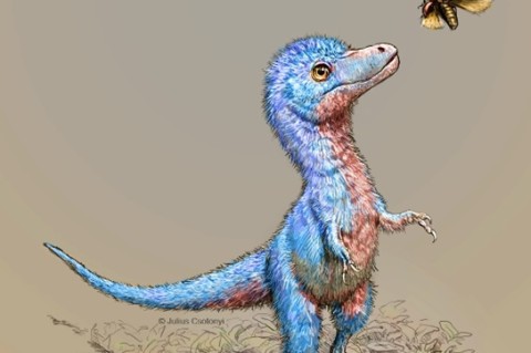 Ученые показали, как выглядели детеныши тиранозавров