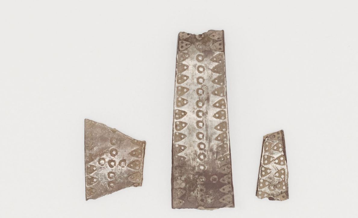 В Великобритании полицейская случайно нашла древний клад викингов