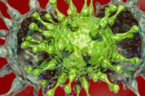 Китайские ученые рассказали об эффективности вакцин перед штаммом коронавируса 