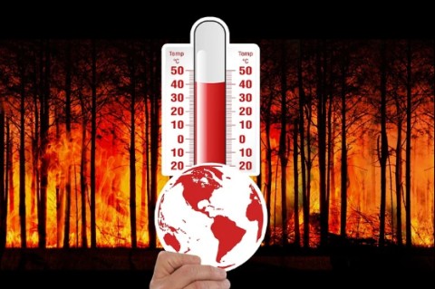 Ученые установили, что повышение температуры станет катастрофой для миллиарда людей