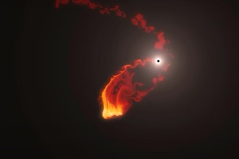 Космический провал: ученые смогли рассекретить обьект, который пережил столкновение с черной дырой