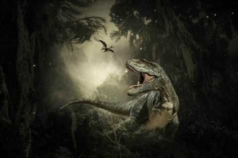 Семь видов: в Польше нашли сотни отпечатков лап динозавров
