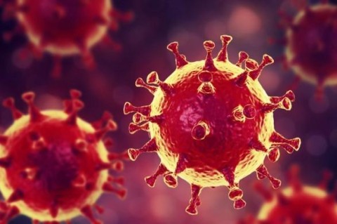 Ученые на Кипре открыли новую мутацию коронавируса - 